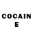 COCAIN Fish Scale MYnextDIYbikePROJECT