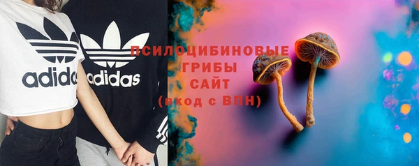 синтетический гашиш Алексеевка